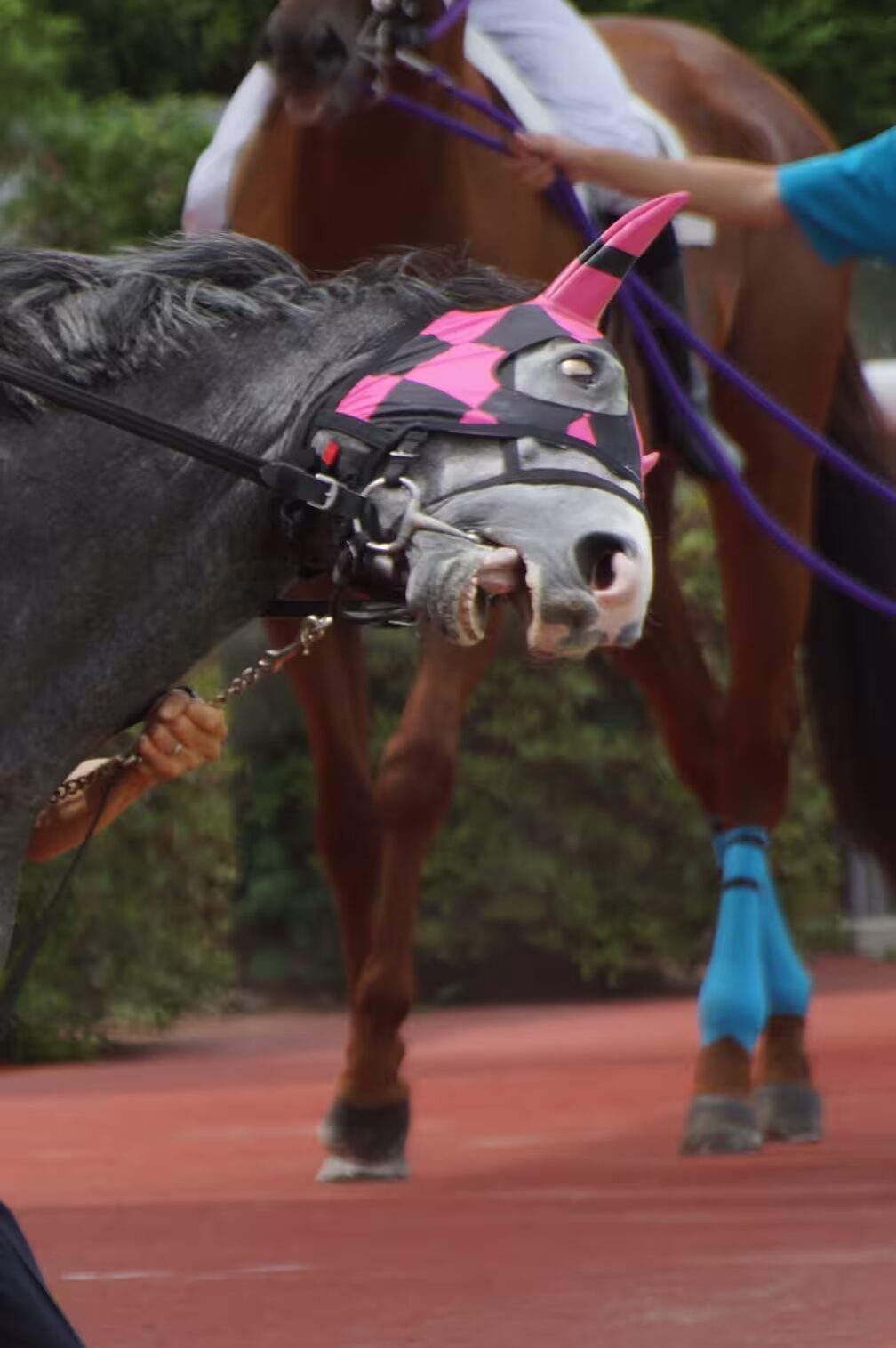 Screenshot_20250730-181045